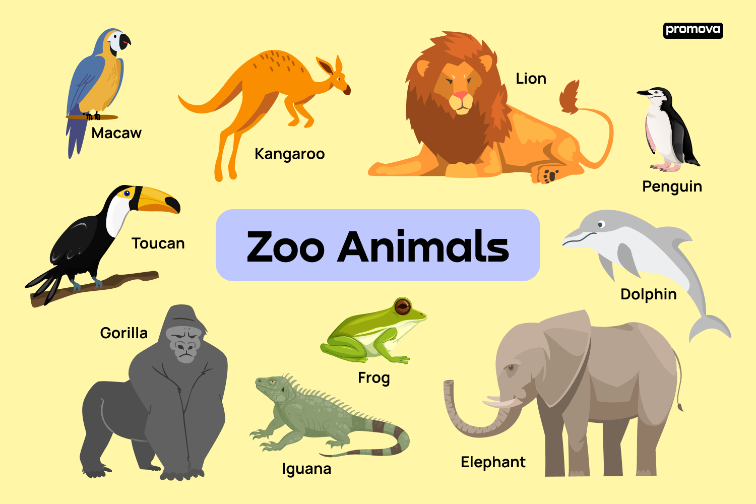 Discover Zoo Animals: English Vocabulary List.