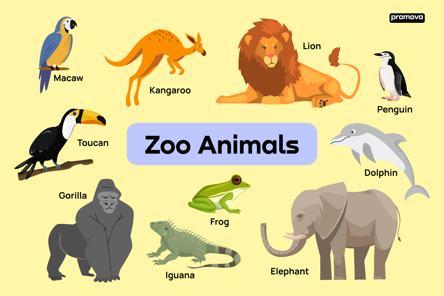 Discover Zoo Animals: English Vocabulary List.