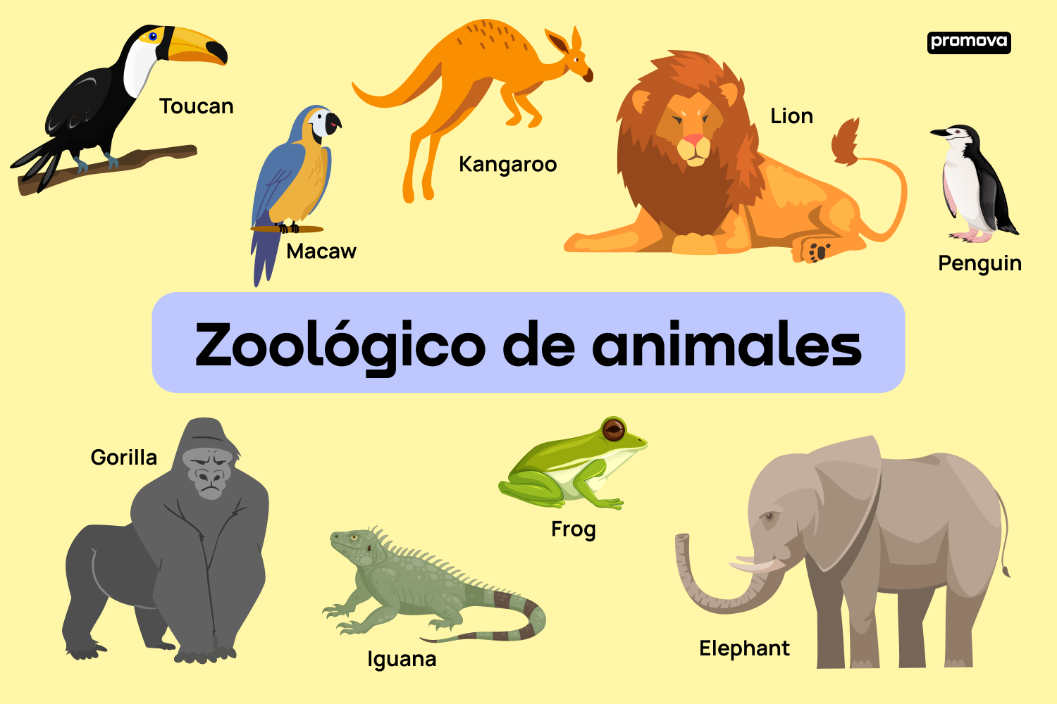 Aprende y memoriza los nombres de animales de zoológico en inglés